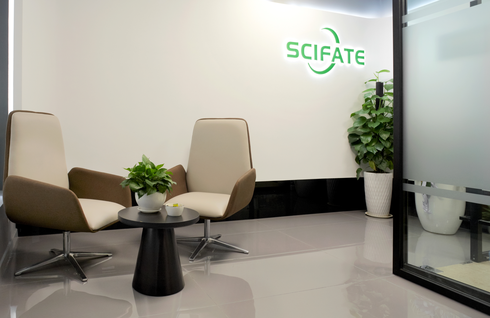 Scifate